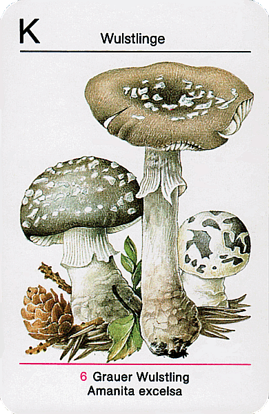 Spielkarte
