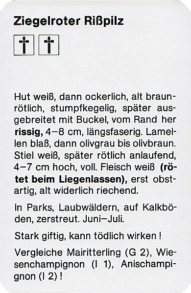 Spielkarte