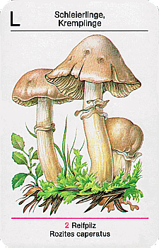 Spielkarte