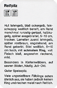Spielkarte