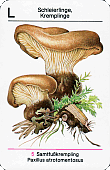 Spielkarte
