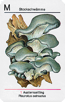 Spielkarte