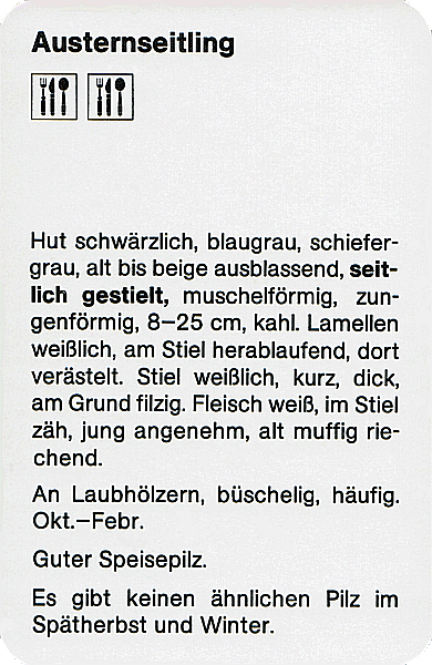 Spielkarte