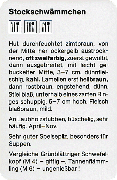 Spielkarte