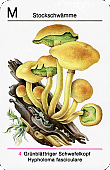 Spielkarte