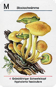 Spielkarte