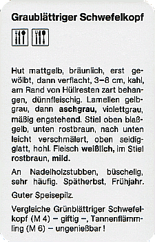 Spielkarte