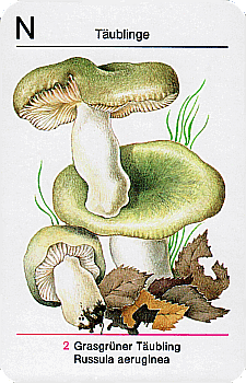 Spielkarte
