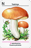 Spielkarte