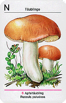 Spielkarte