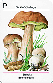 Spielkarte