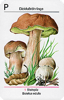 Spielkarte