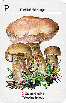 Spielkarte