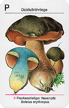 Spielkarte