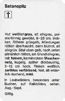 Spielkarte