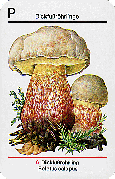 Spielkarte