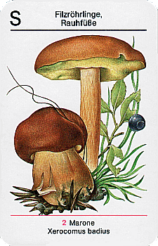 Spielkarte