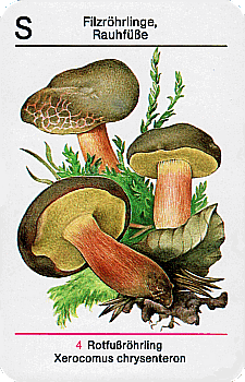 Spielkarte