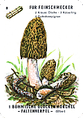 Spielkarte