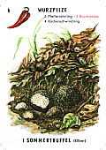 Spielkarte