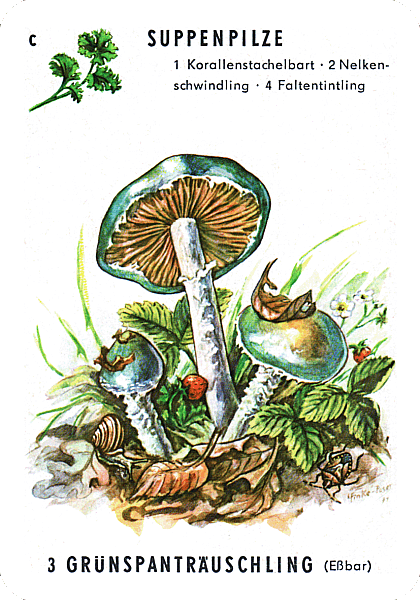 Spielkarte