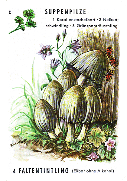 Spielkarte