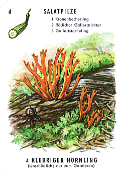 Spielkarte