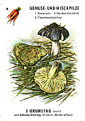 Spielkarte