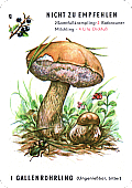 Spielkarte