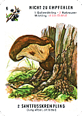 Spielkarte