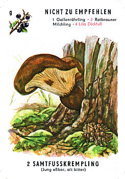Spielkarte