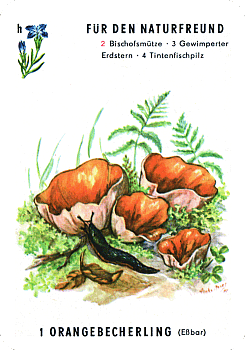 Spielkarte