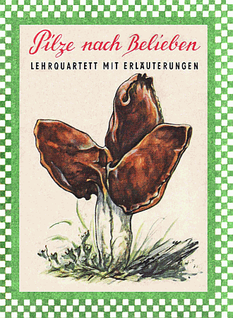 Verpackung