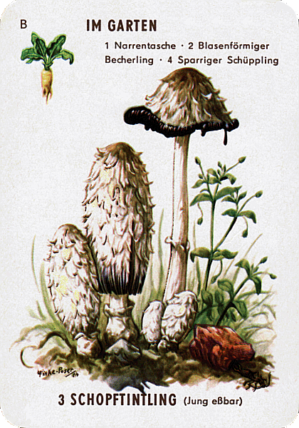 Spielkarte
