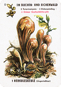 Spielkarte