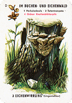 Spielkarte