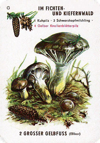 Spielkarte