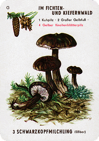 Spielkarte