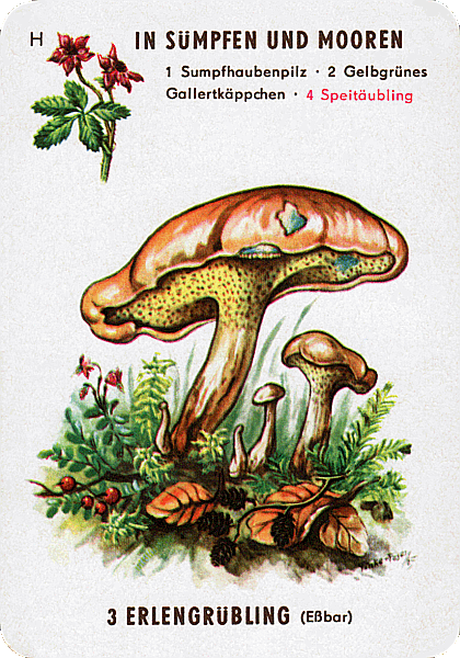Spielkarte