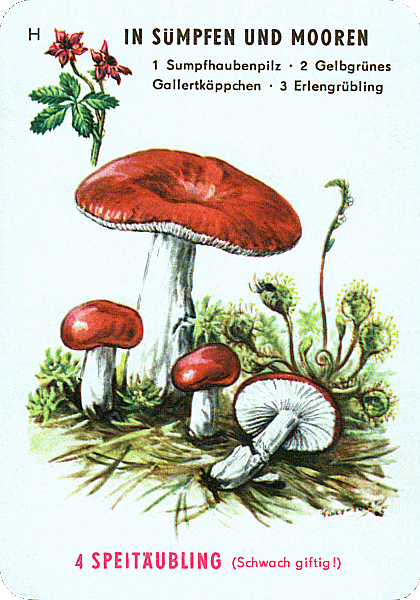 Spielkarte