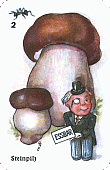 Spielkarte