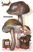 Spielkarte