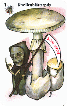 Spielkarte