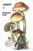 Spielkarte