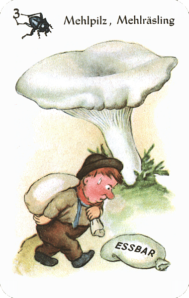 Spielkarte