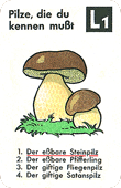 Spielkarte
