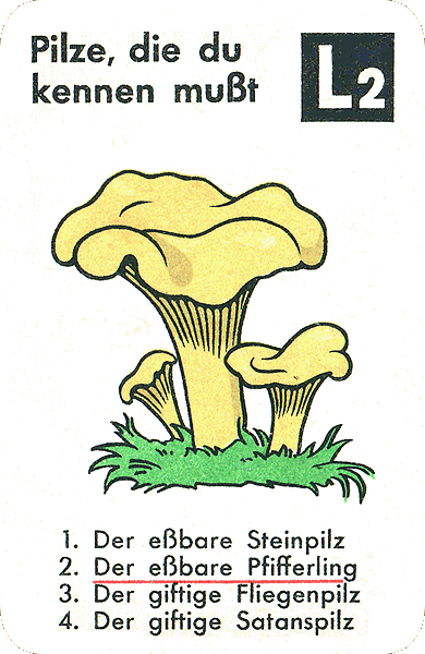 Spielkarte