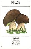 Spielkarte