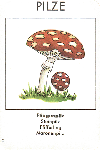 Spielkarte