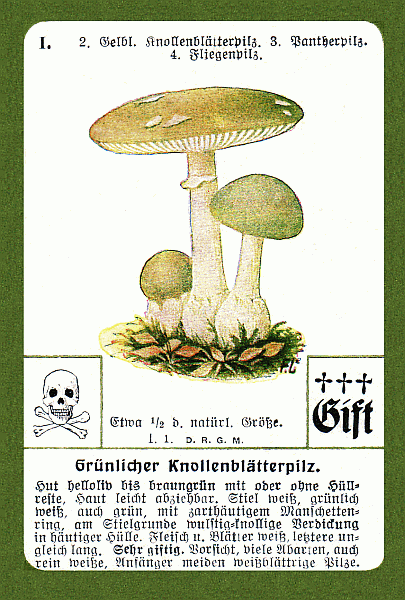 Spielkarte